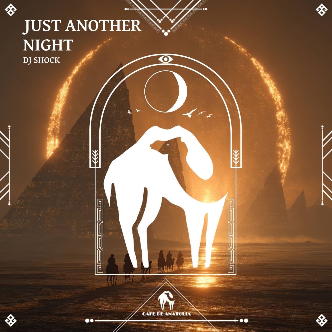 DJ_Shock-Just_Another_Night-_CDAREC2764_-WEB-2026-PTC