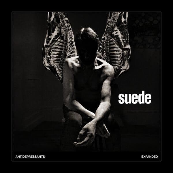 Suede-Antidepressants_Expanded-WEB-2026-ENViED