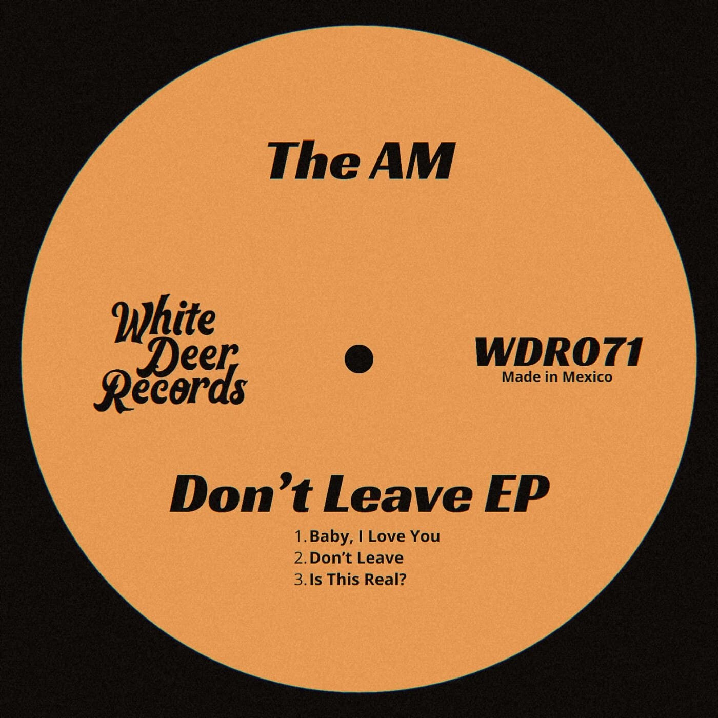 The_AM-Dont_Leave_EP-_WDR071_-WEB-2026-BB