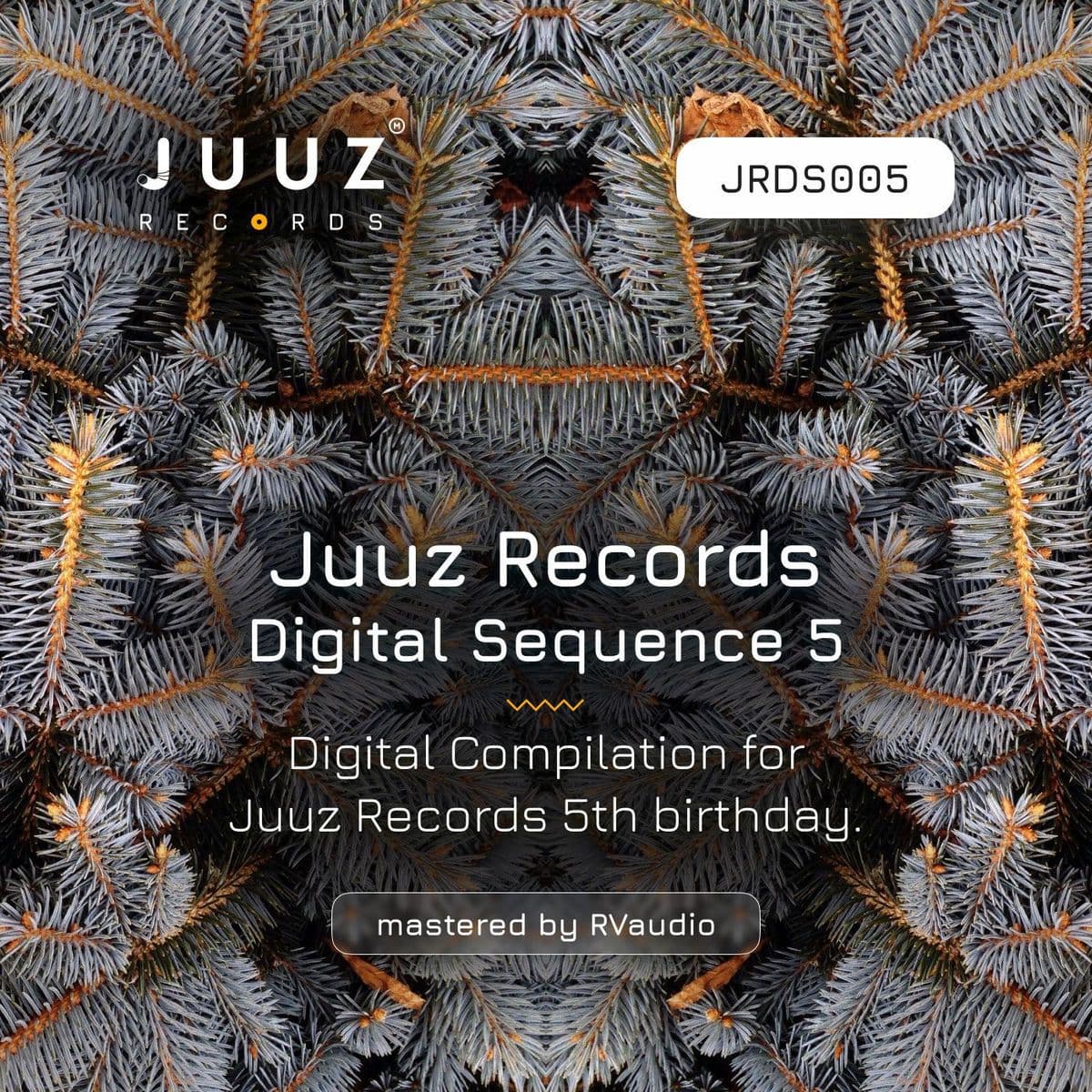 VA-Juuz_Records_Digital_Sequence_5-_JRDS005_-WEB-2026-FALCON