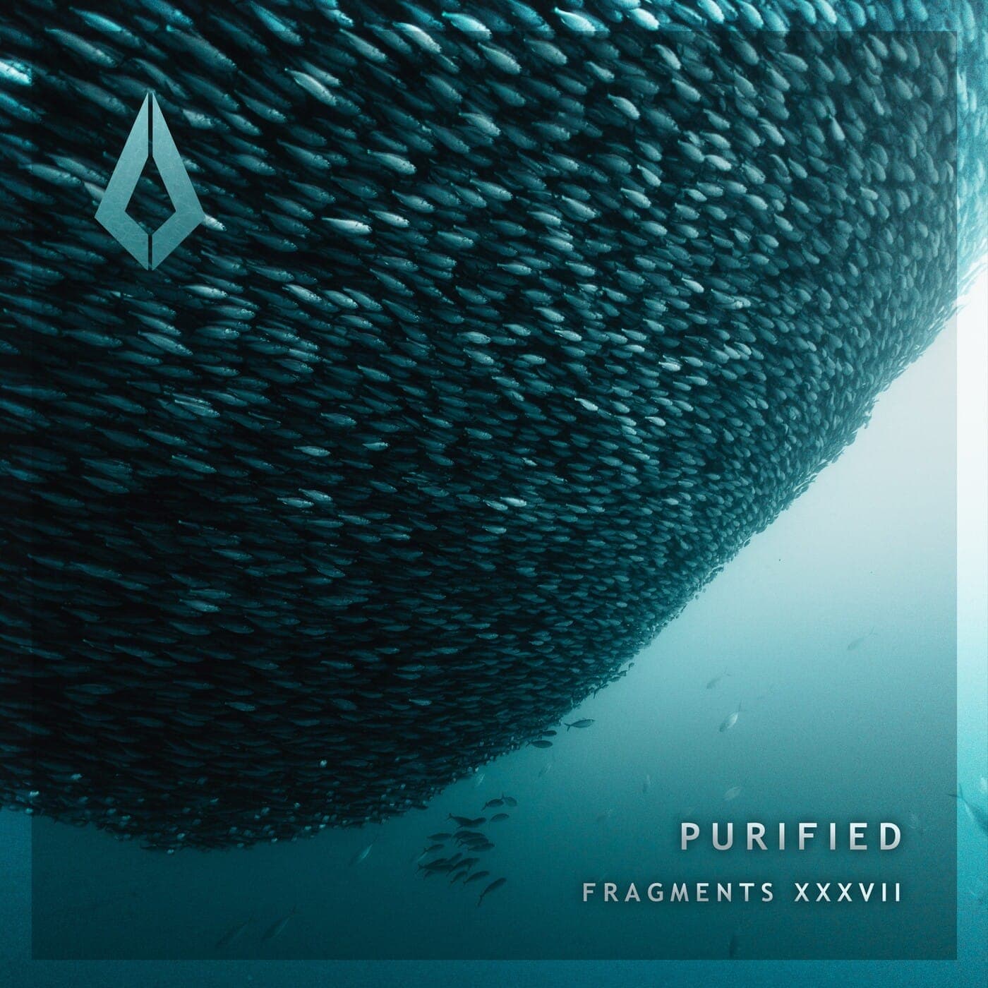 VA-Purified_Fragments_XXXVII-_PF0250RBP_-WEB-2026-PTC