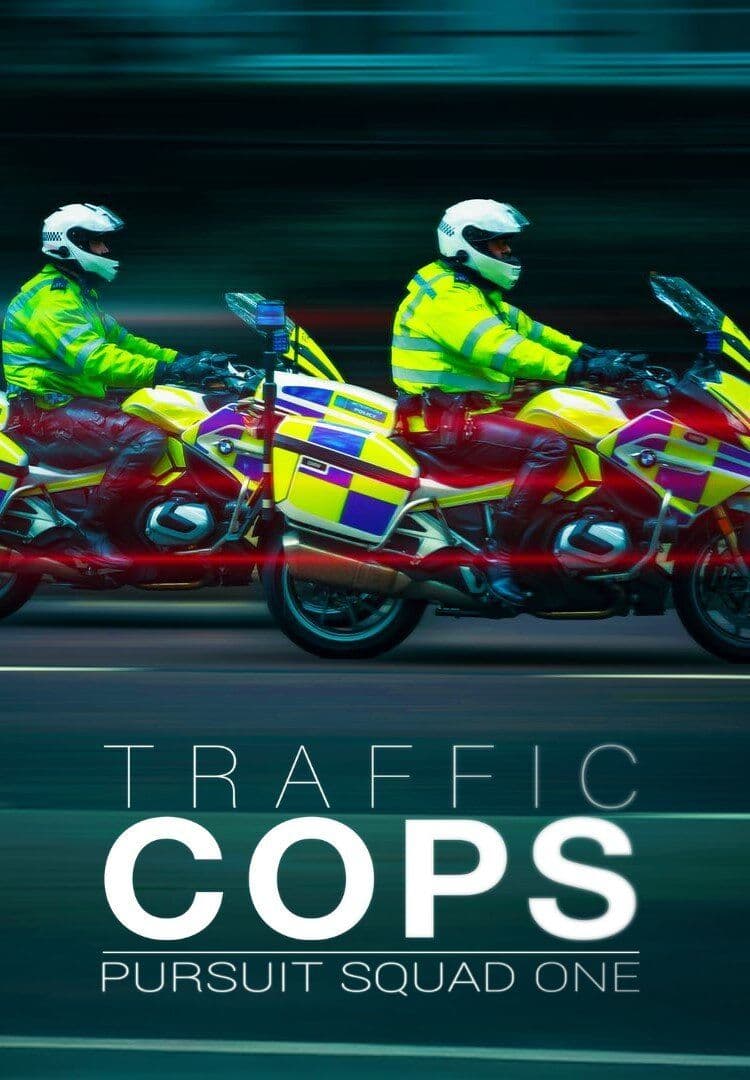 Traffic Cops Elite Squad One S02E04 WEB H264-RBB