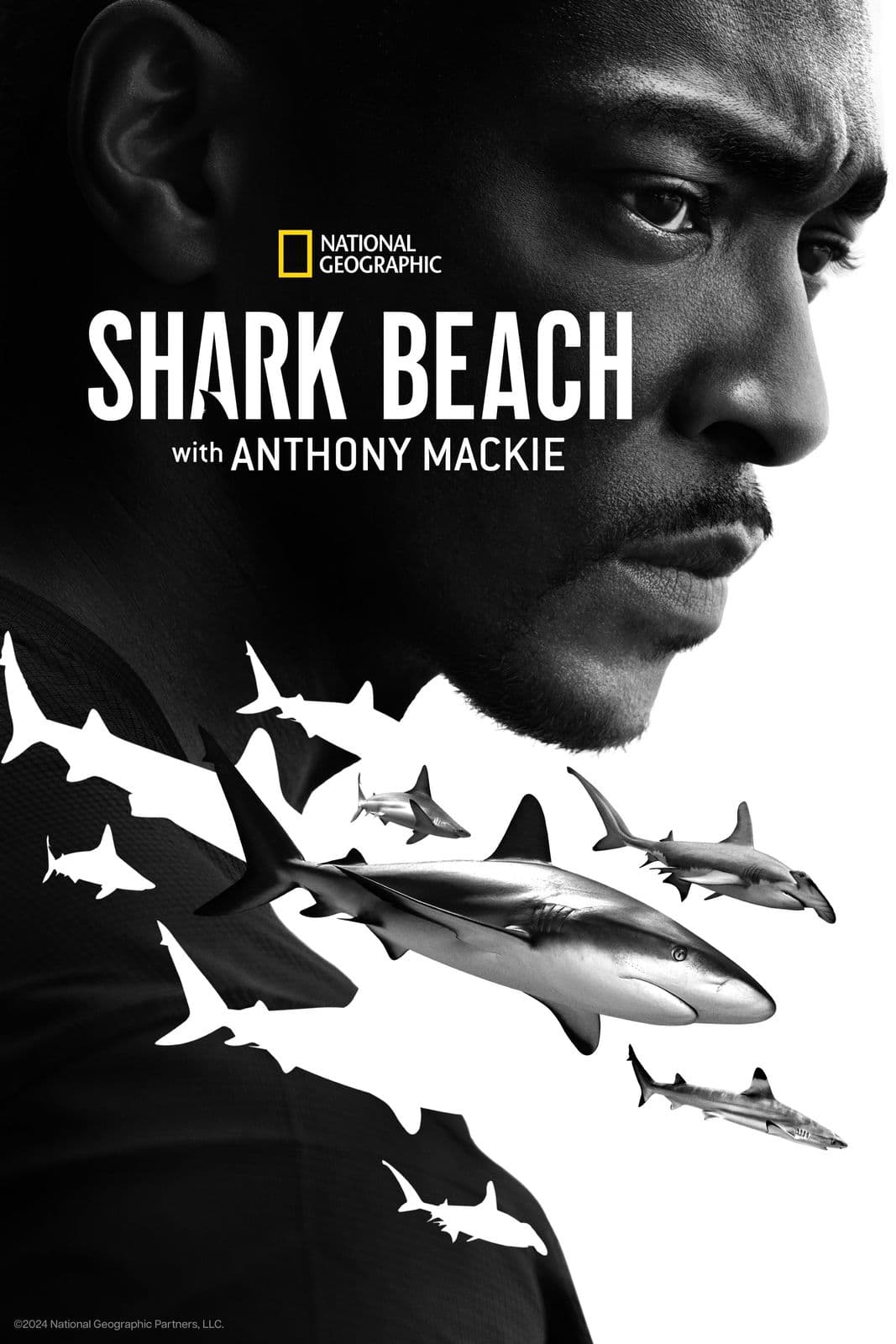 Shark Beach with Anthony Mackie 2024 NORDiC 1080p DSNP WEB DL H 265-NORViNE