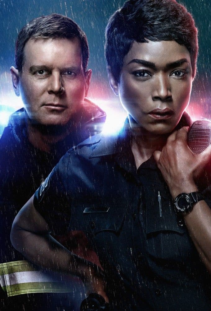 9 1 1 S09E15 MULTI 480p x264-mSD