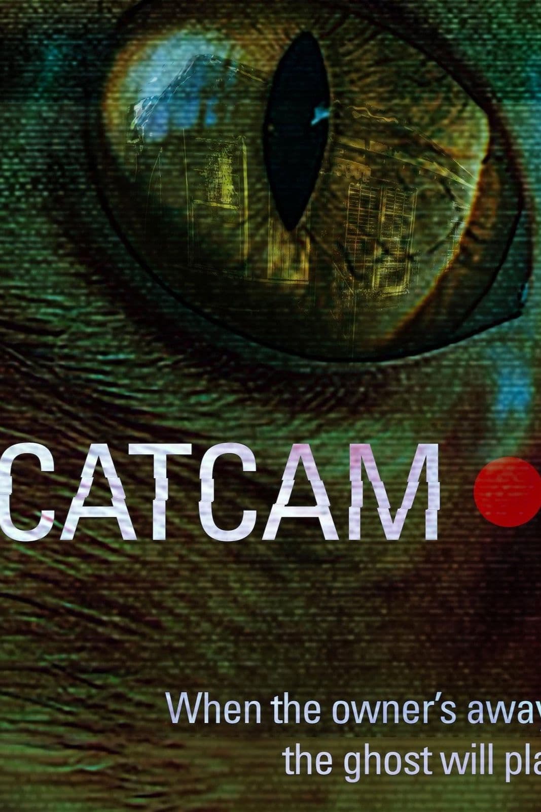 cat cam 2026 720p web h264-jff
