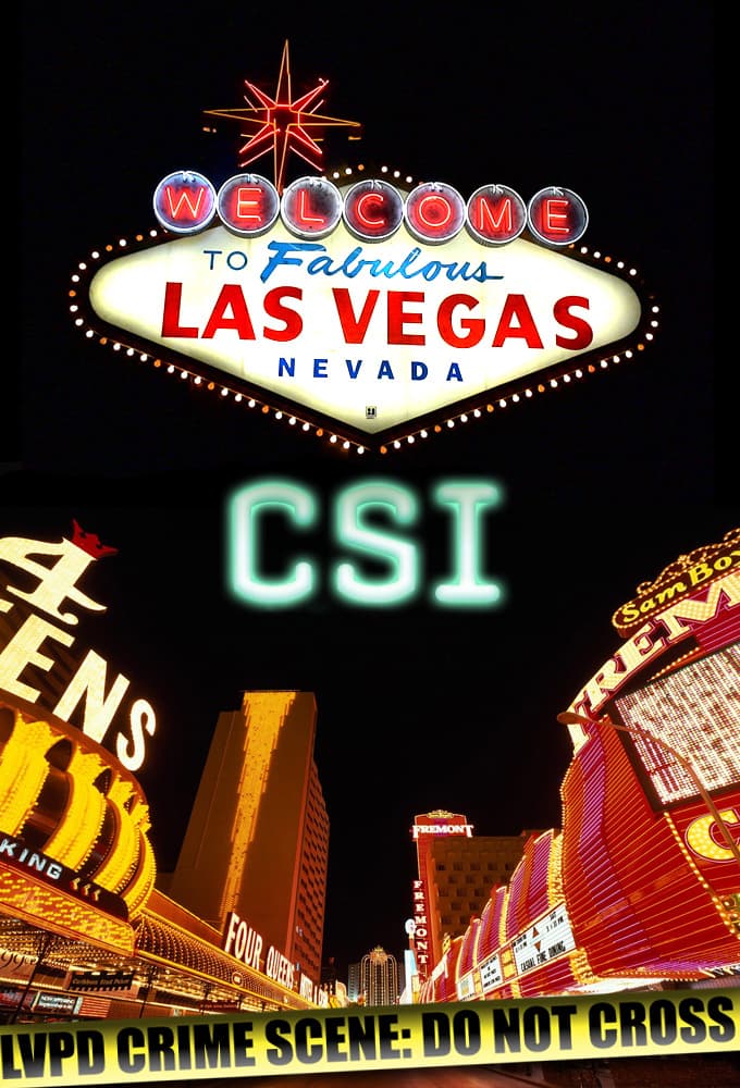 CSI Crime Scene Investigation S02E12 Youve Got Male 1080p AMZN WEB DL DD 5 1 H 264-playWEB