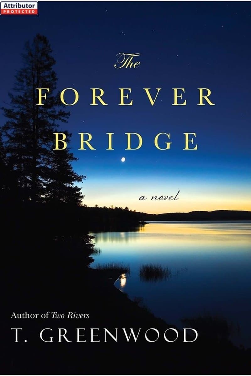 T.Greenwood.The.Forever.Bridge.2015.RETAiL.EPUB.eBook-NODE