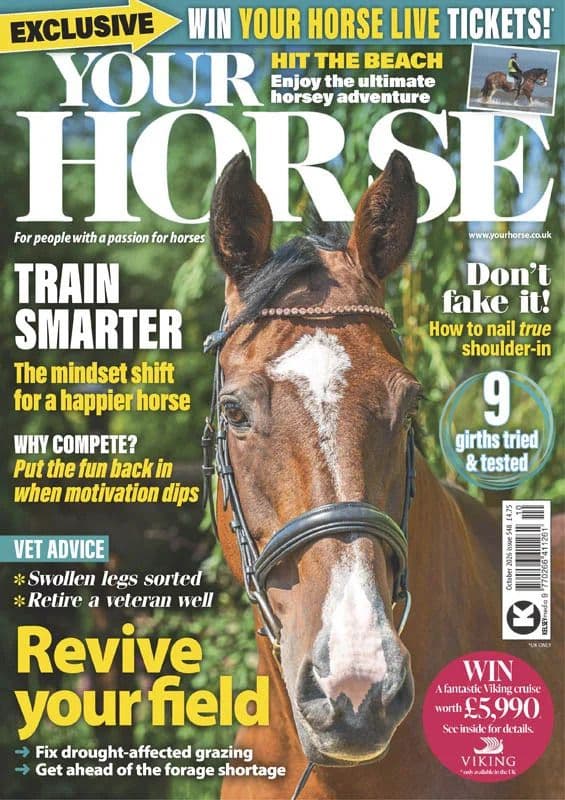 Your Horse - October 2026