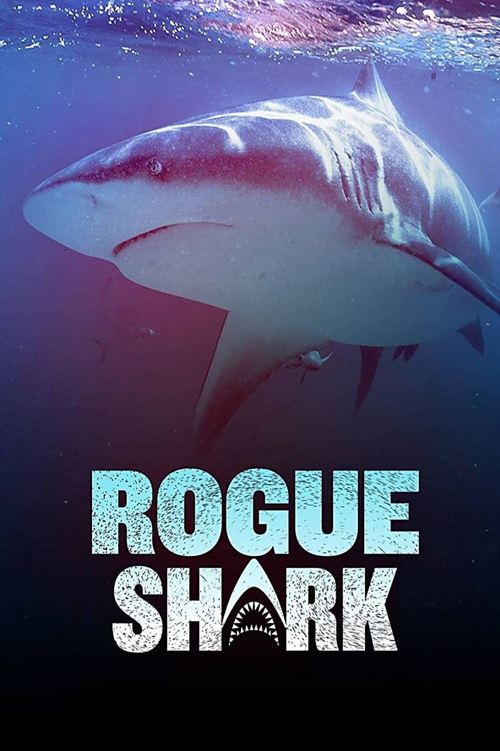 rogue shark 2021 web h264-rbb