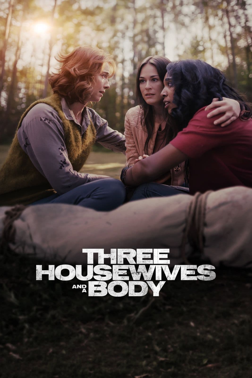 Three Housewives and a Body 2026 NORDiC 1080p WEB DL DDP5 1 H 264-ADDICTION
