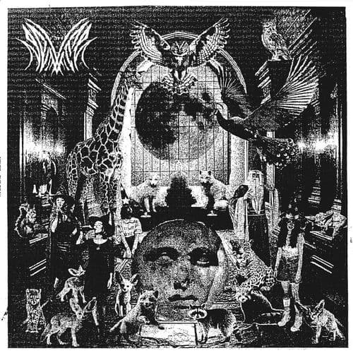 Never-The_Gray-_VEYL048_-16BIT-WEB-FLAC-2026-BABAS
