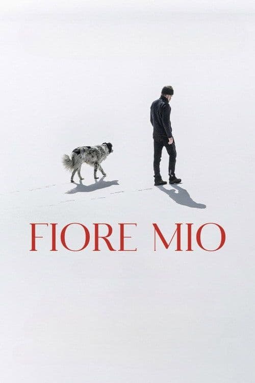 Fiore Mio 2024 SUBBED 720p WEBRip-WORLD