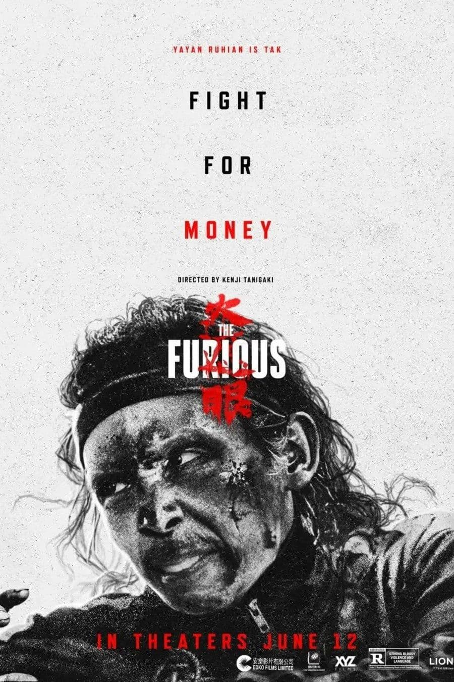 The Furious 2026 1080p WEBRip x265-DH
