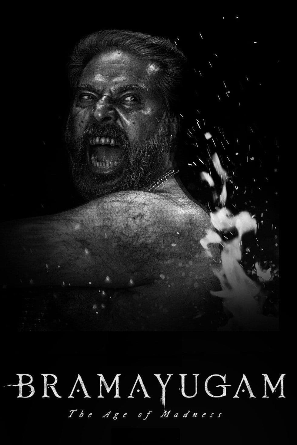 Bramayugam 2024 2160p 4K WEB 5 1-YTSGGYTSBZ