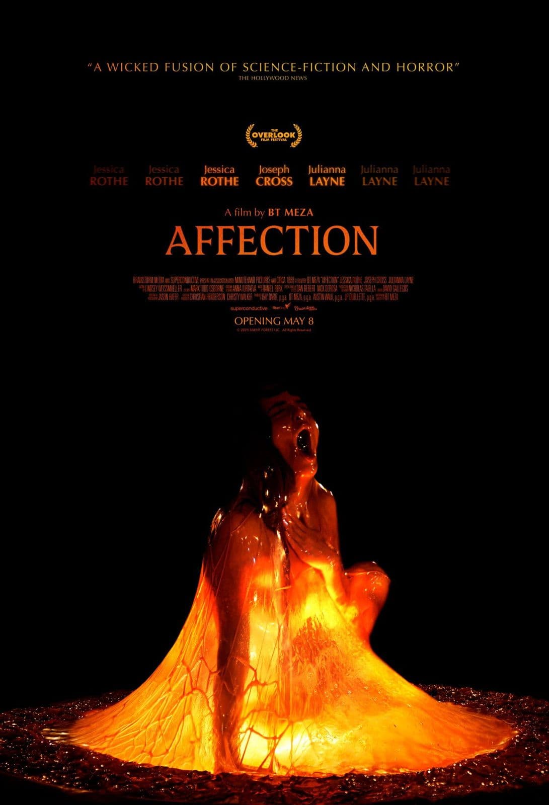 Affection 2025 1080p WEB-DL HEVC x265 5 1-BONE