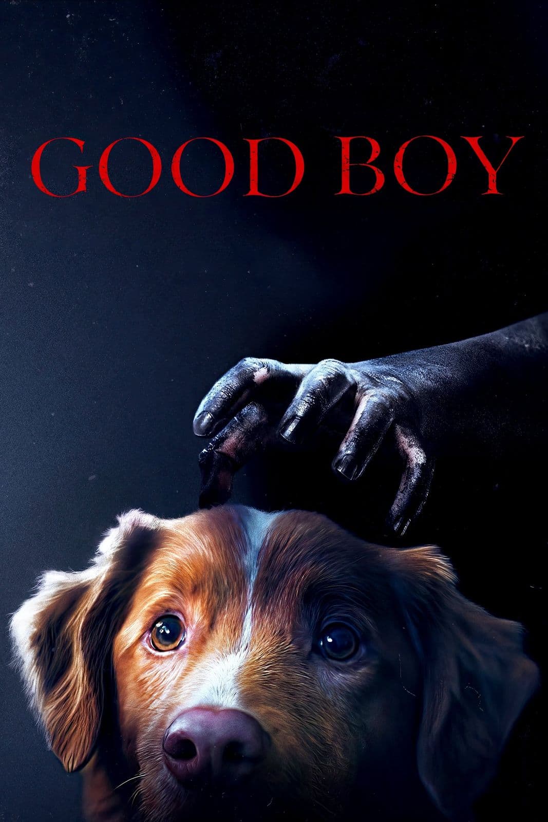 Good.Boy.2025