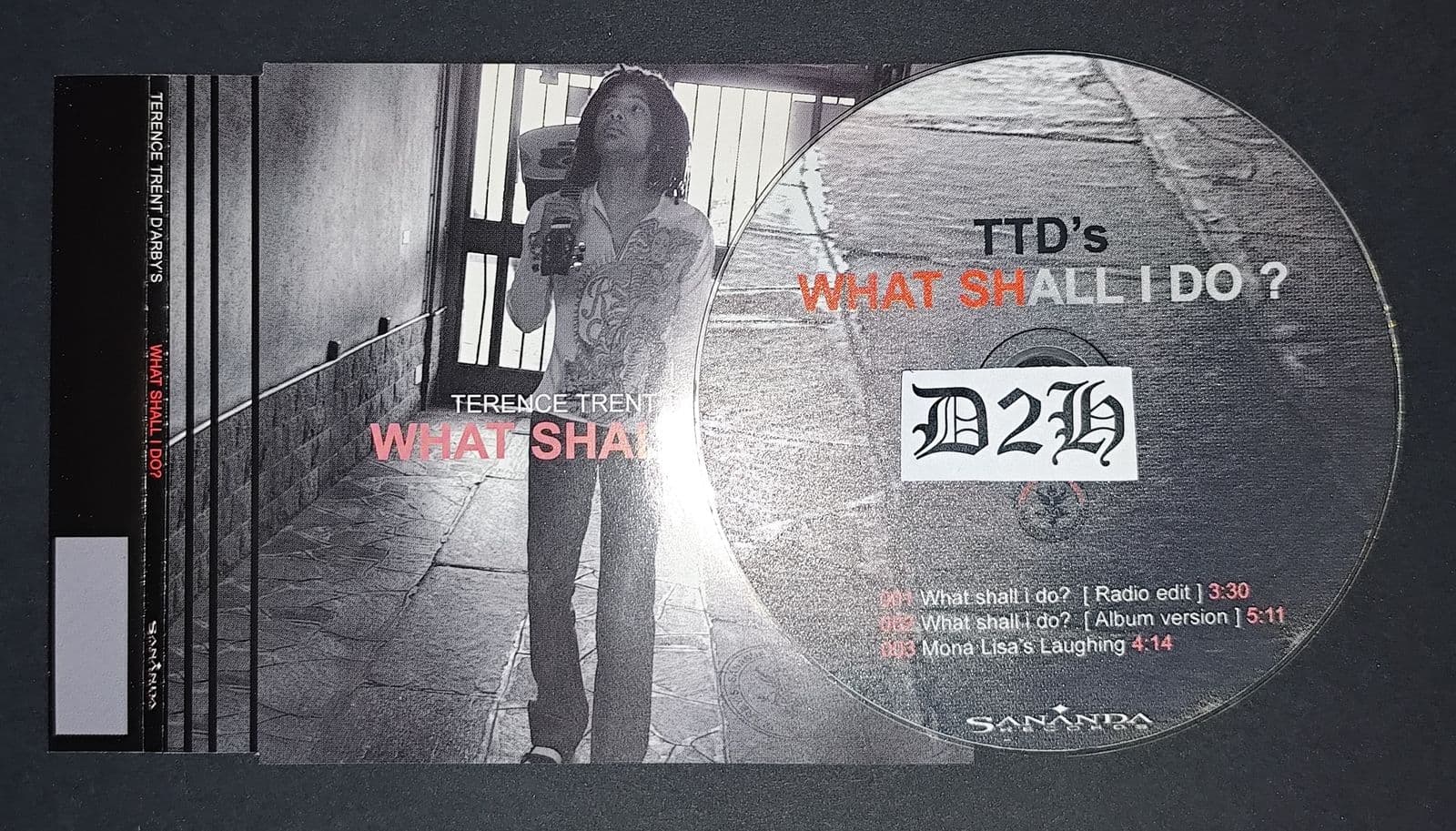 Terence_Trent_Darbys-What_Shall_I_Do-CDS-2001-D2H