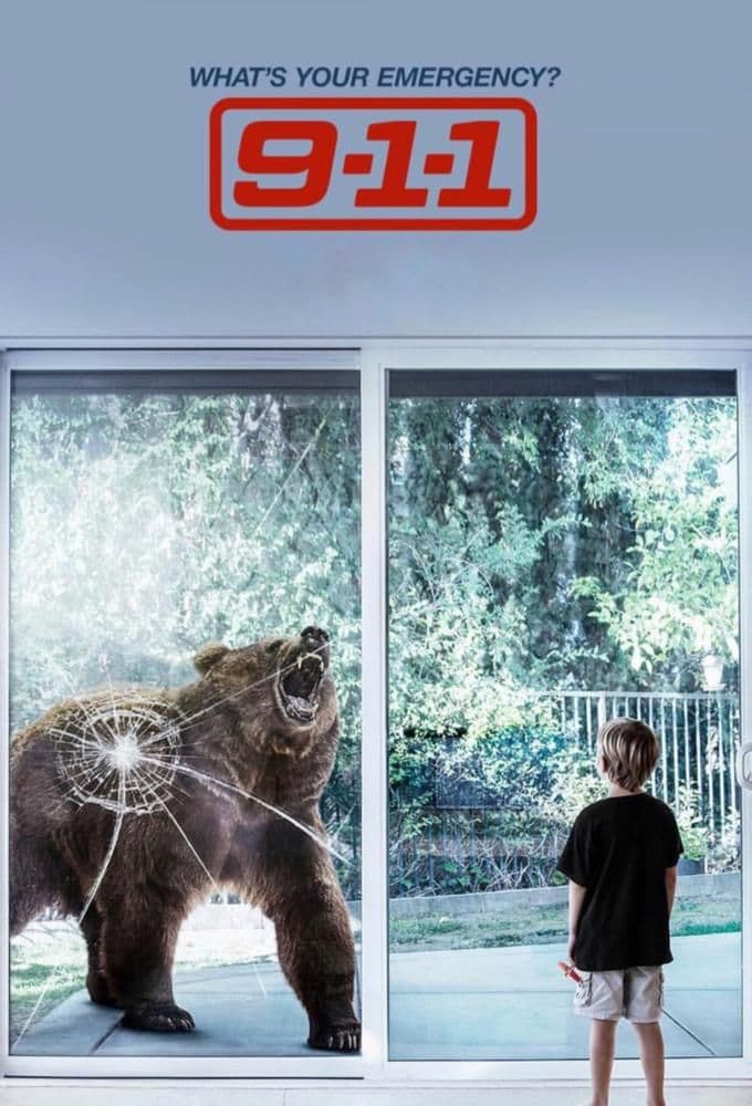 9 1 1 S09E17 MULTI 480p x264-mSD