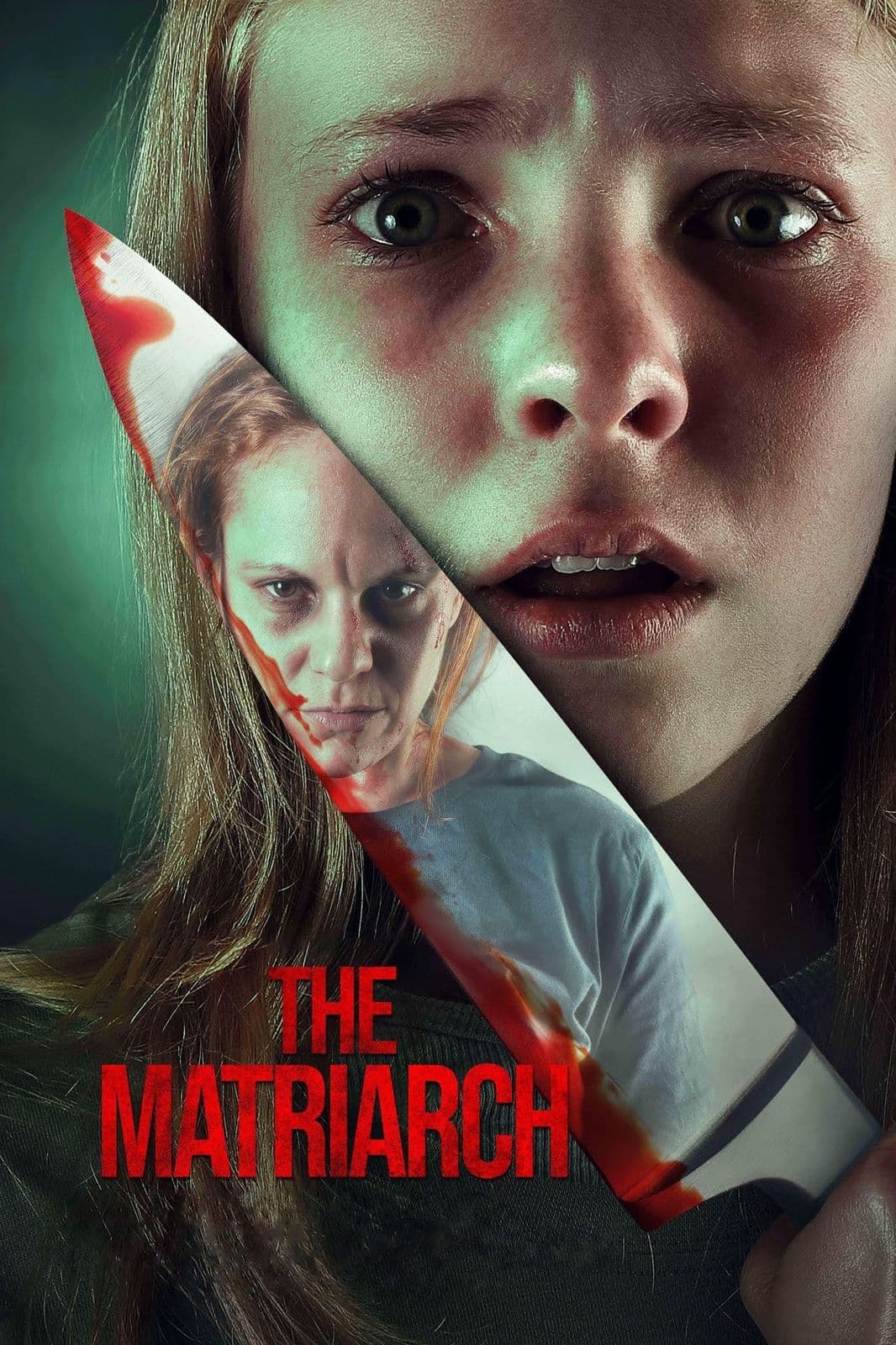 The Matriarch 2024 NORDIC 1080p WEBRip 5 1-LAMA