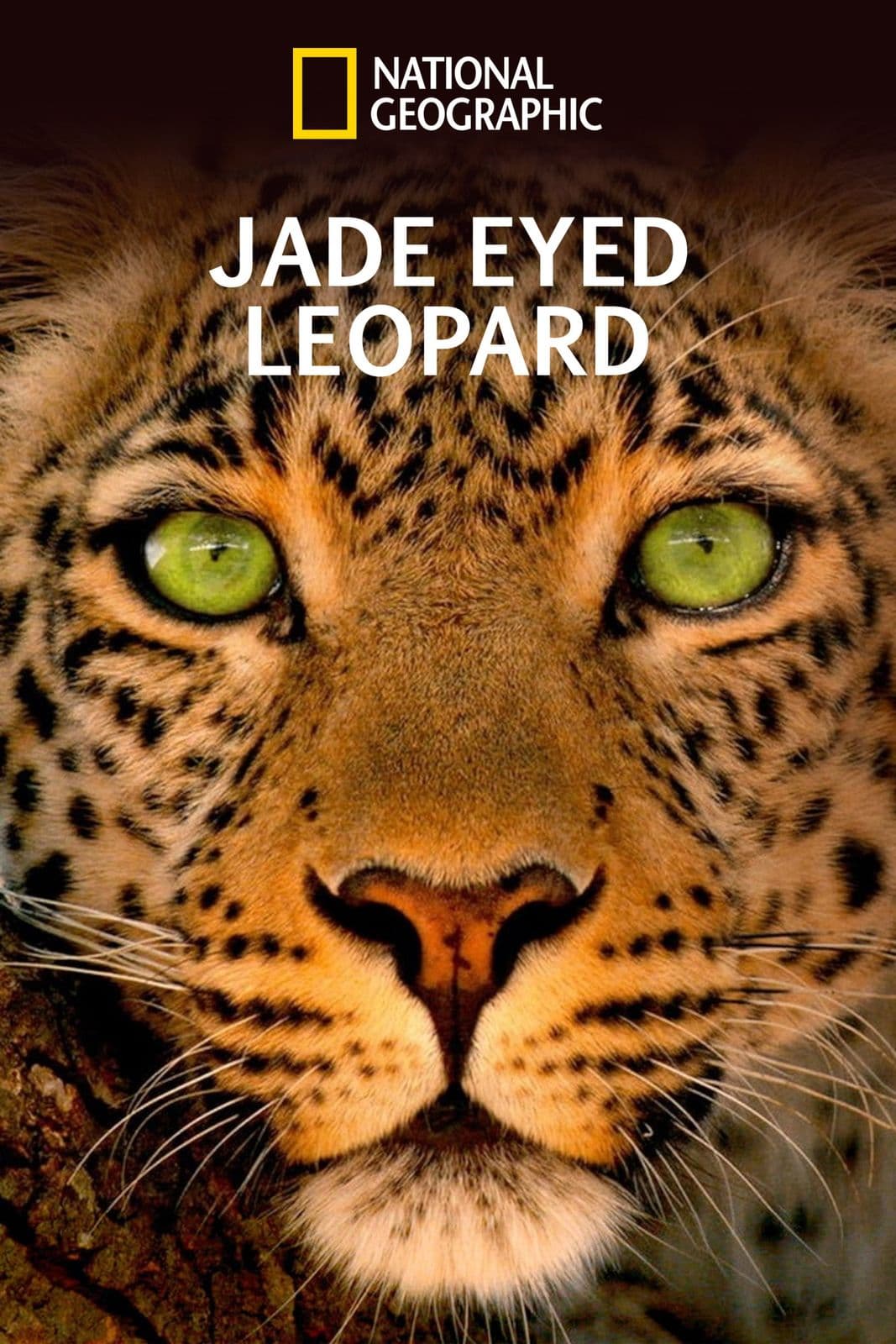Jade Eyed Leopard 2020 1080p DSNP WEB DL DDP5 1 H 264-NTb